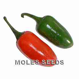 Hot Pepper Jalapeno M