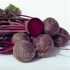 Beetroot F1 Boro